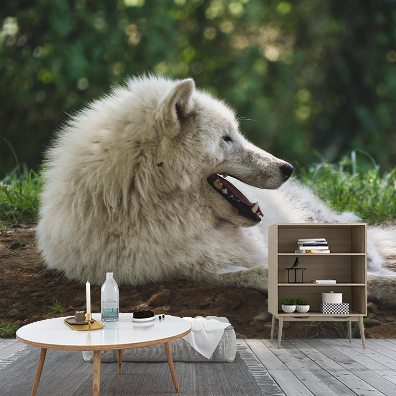 Contemporary Arctic Wolf Wall Mural Mildew Resistant Covering for Dining Room
