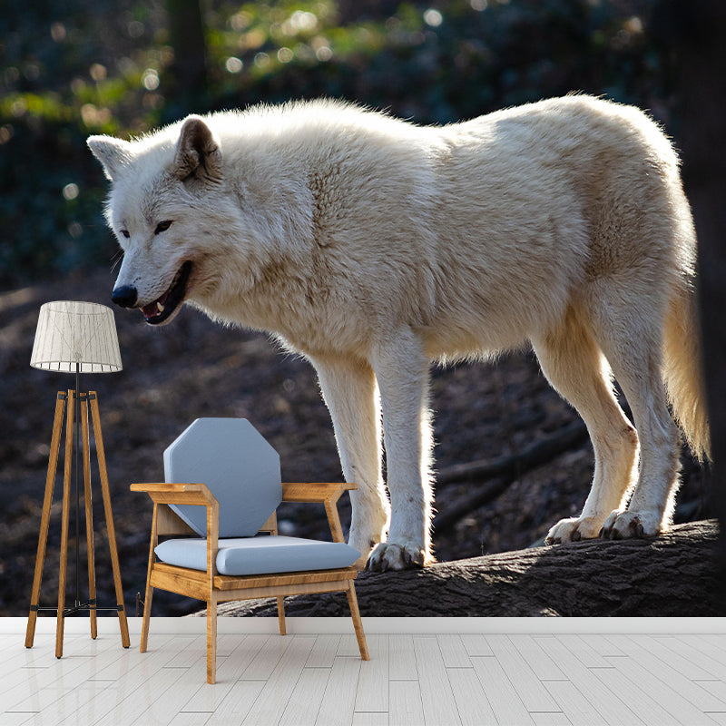Contemporary Arctic Wolf Wall Mural Mildew Resistant Covering for Dining Room
