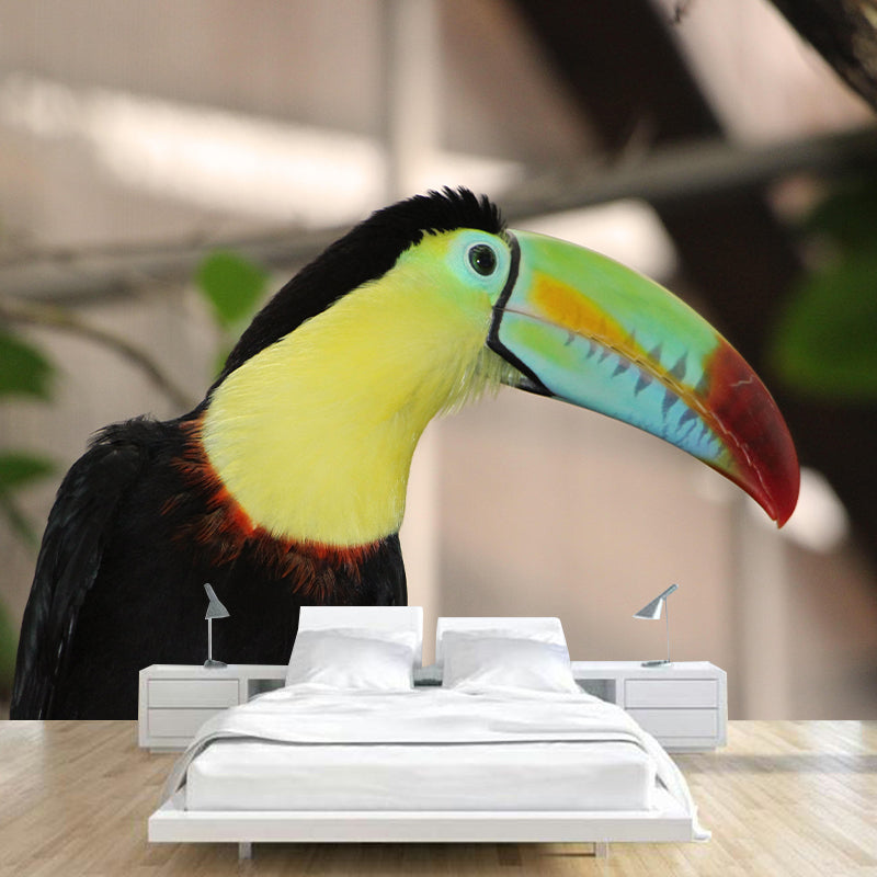 Customized Moisture Resistant Toucan Mural Wallpaper Environment Friendly Wall Decor