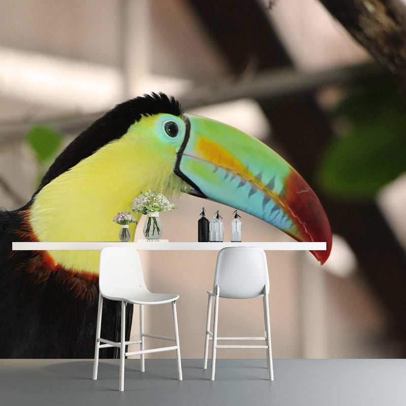 Customized Moisture Resistant Toucan Mural Wallpaper Environment Friendly Wall Decor