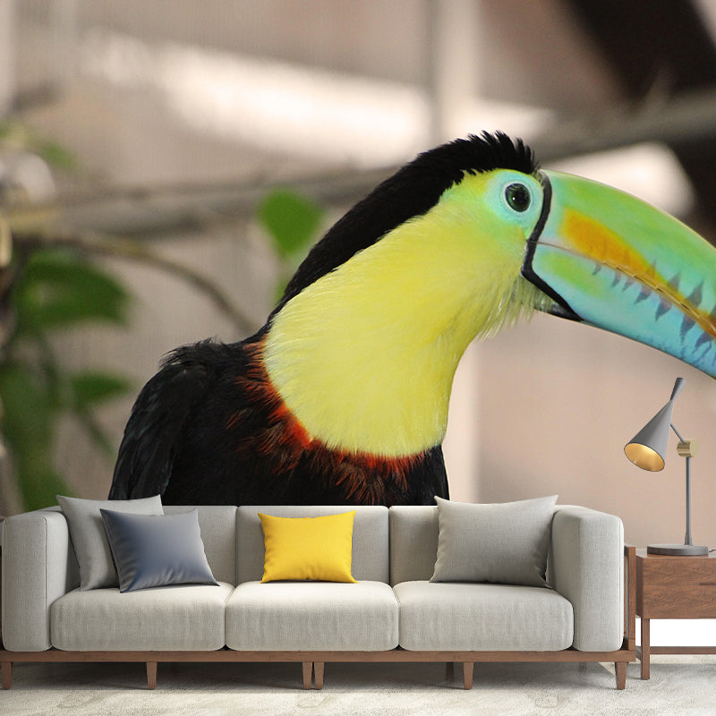 Customized Moisture Resistant Toucan Mural Wallpaper Environment Friendly Wall Decor
