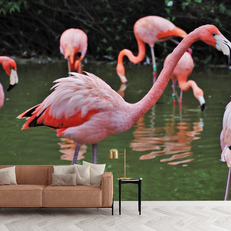 Tropical Flamingos Wall Mural Mildew Resistant Covering for Dining Room