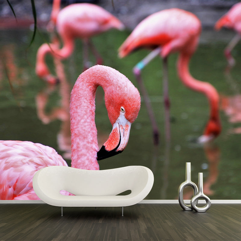 Tropical Flamingos Wall Mural Mildew Resistant Covering for Dining Room