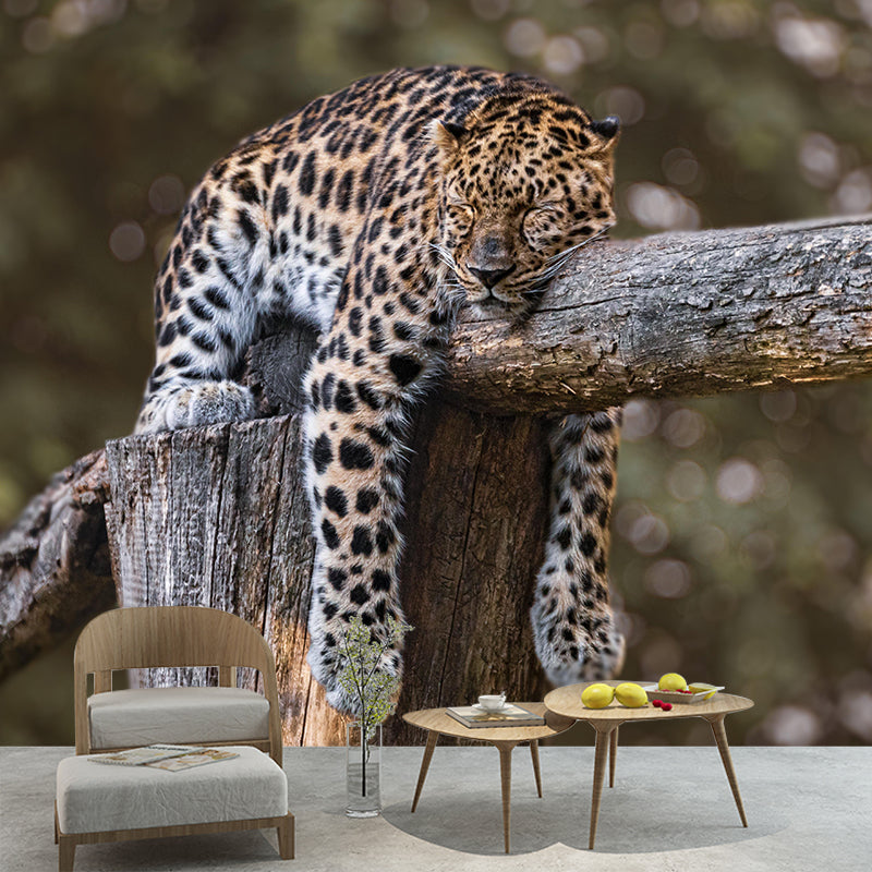 Customized Moisture Resistant Jaguar Mural Wallpaper Environment Friendly Wall Decor