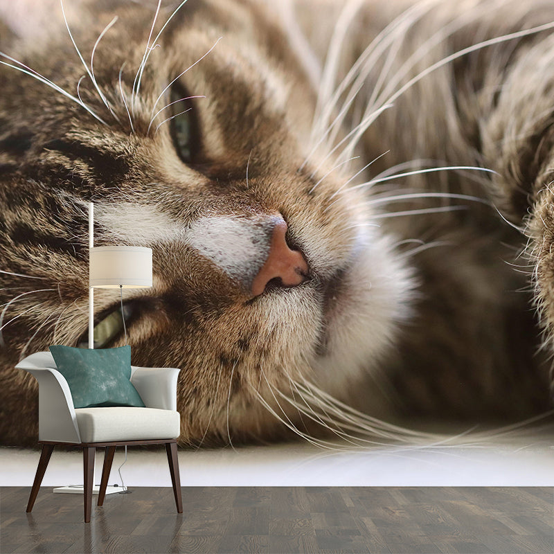 Customized Moisture Resistant Cat Eye Mural Wallpaper Environment Friendly Wall Decor