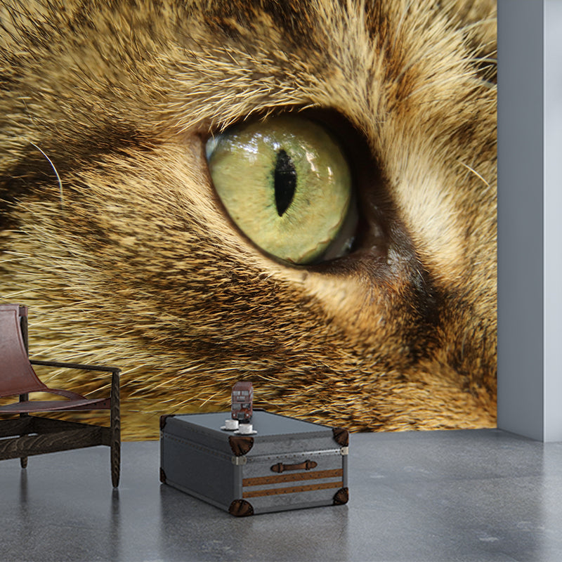 Customized Moisture Resistant Cat Eye Mural Wallpaper Environment Friendly Wall Decor