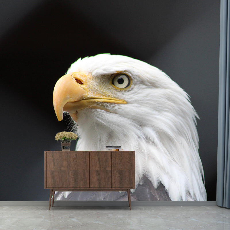 Customized Moisture Resistant Buzzard Mural Wallpaper Decal Environment Friendly Wall Decor