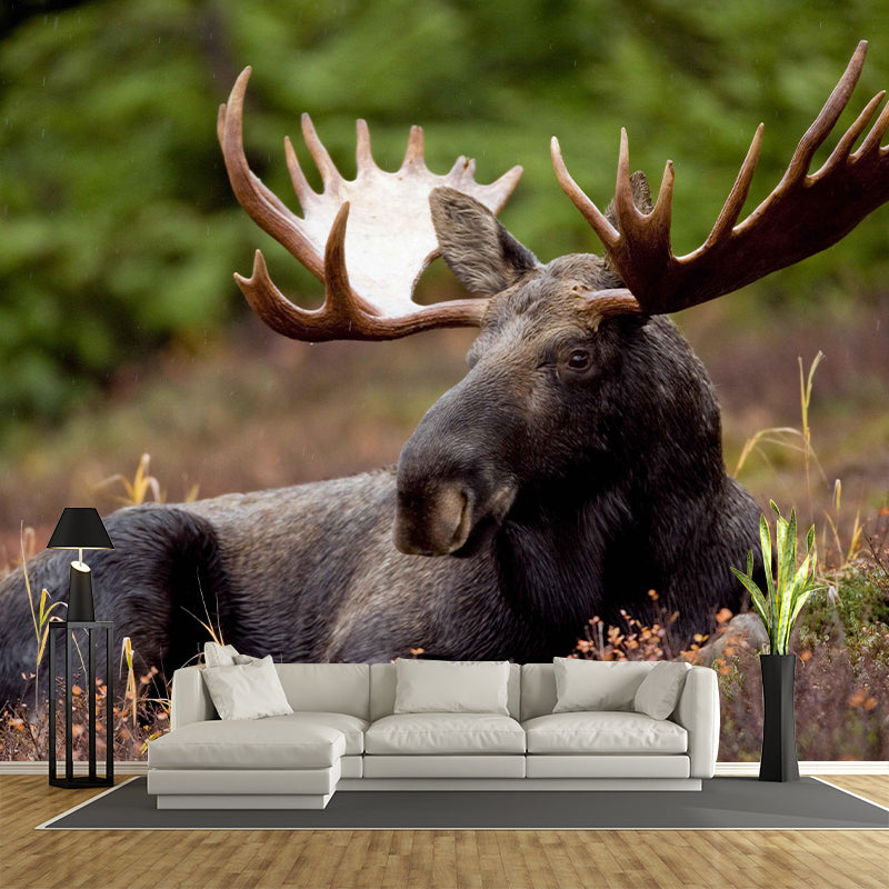 Moose Mural Decal Eco-friendly Wallpaper Customized Wall Covering for Sitting Room