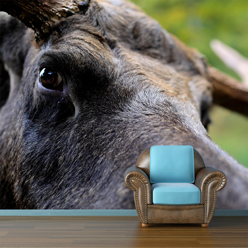 Moose Mural Decal Eco-friendly Wallpaper Customized Wall Covering for Sitting Room