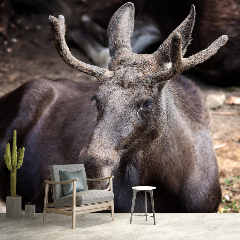Moose Mural Decal Eco-friendly Wallpaper Customized Wall Covering for Sitting Room