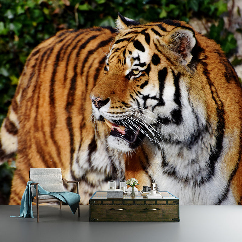 Siberian Tiger  Mural Decal Eco-friendly Wallpaper Customized Wall Covering for Sitting Room
