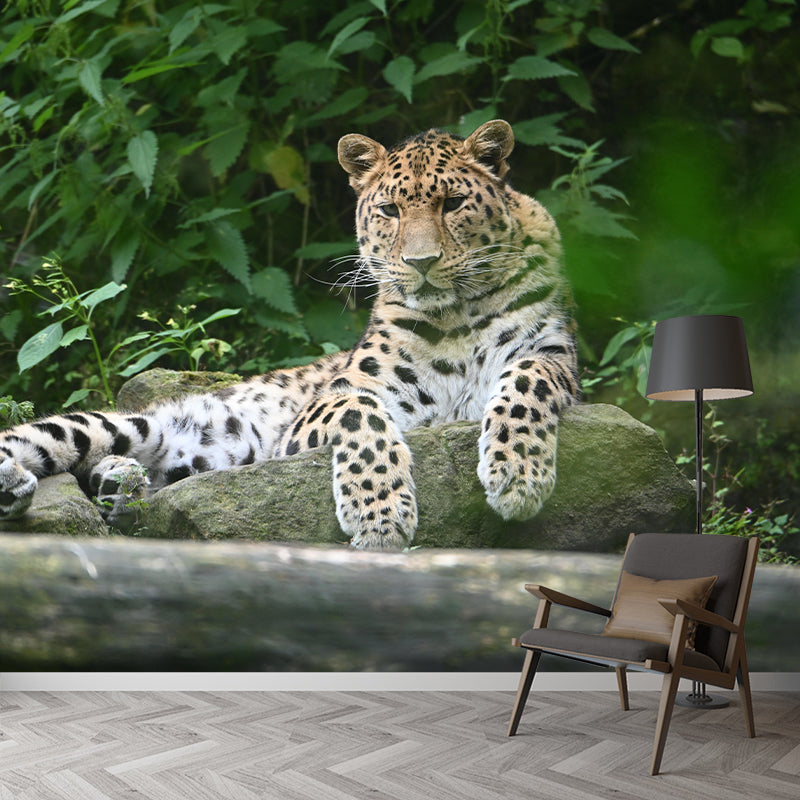 Amur Leopard  Mural Decal Eco-friendly Wallpaper Customized Wall Covering for Sitting Room