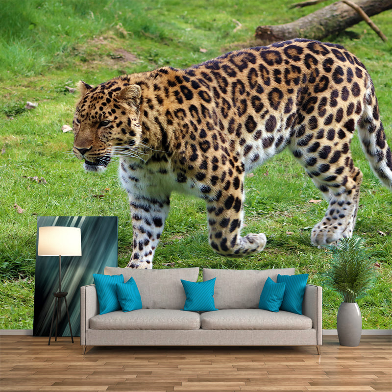 Amur Leopard  Mural Decal Eco-friendly Wallpaper Customized Wall Covering for Sitting Room