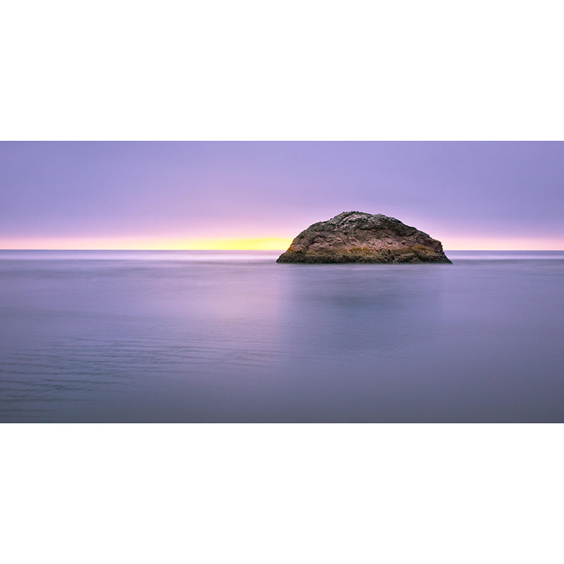 Huge Sea Mural Decal Decorative Modern Style Moisture Resistant in Light Color