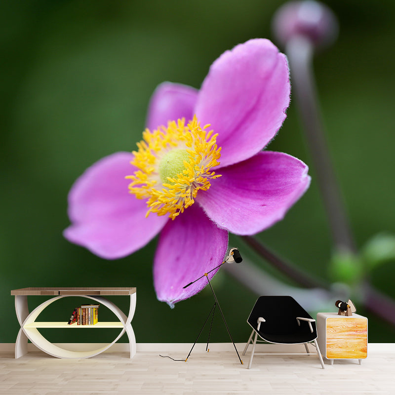 Customized Moisture Resistant Mural Wallpaper Decal Autumn Anemone Wall Decor