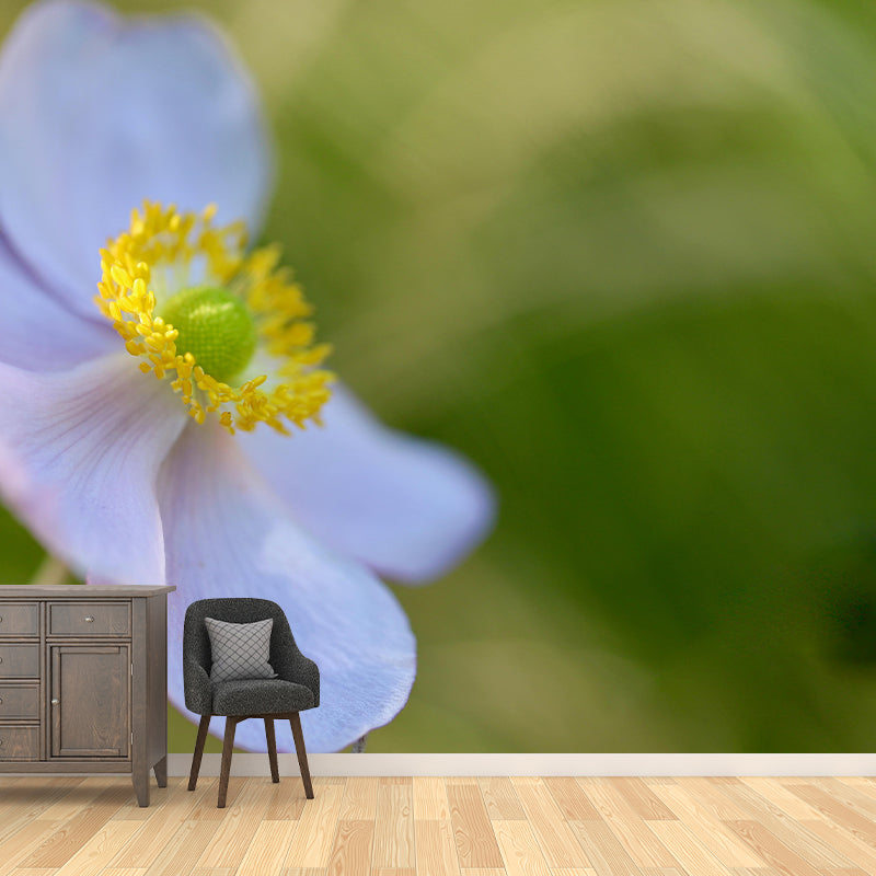 Customized Moisture Resistant Mural Wallpaper Decal Autumn Anemone Wall Decor