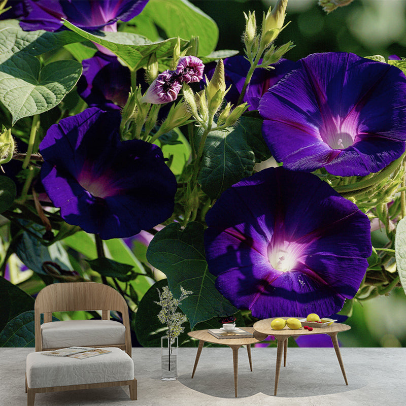 Customized Moisture Resistant Mural Wallpaper Decal Morning Glory Wall Decor