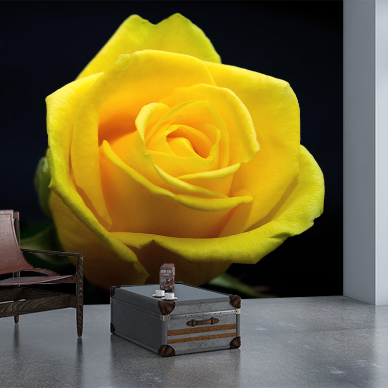 Rose Blooming Mural Decal Modern Style Moisture Resistant for Sitting Room