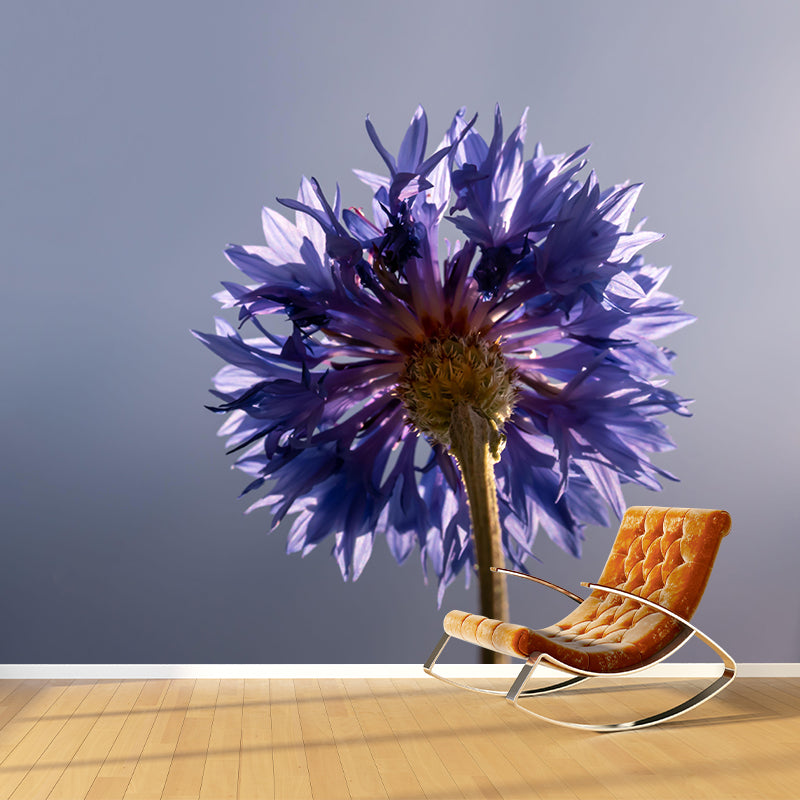 Customized Moisture Resistant Mural Wallpaper Decal Knapweed Wall Decor