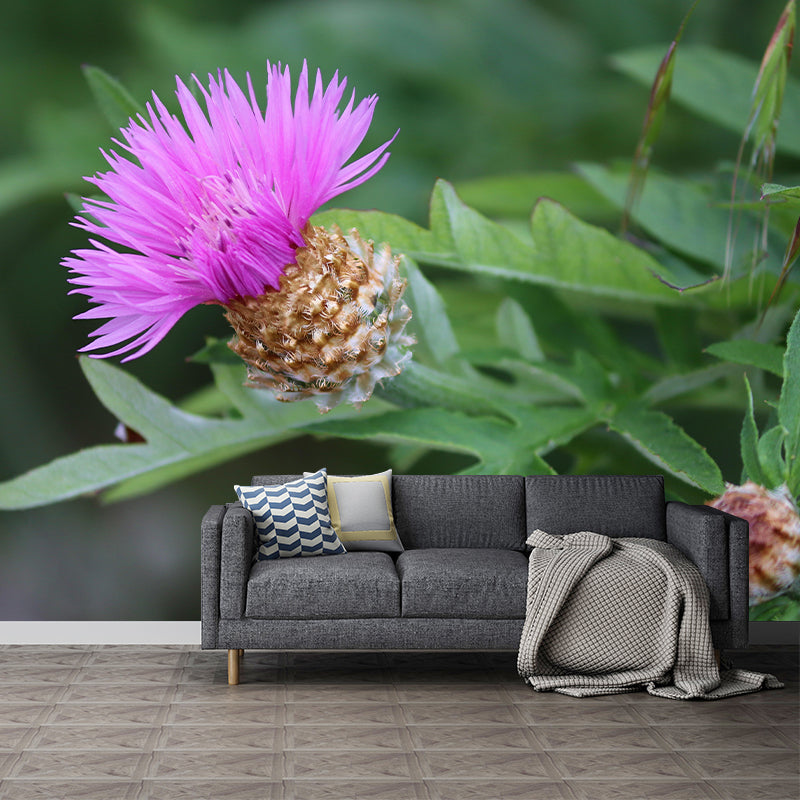 Customized Moisture Resistant Mural Wallpaper Decal Knapweed Wall Decor