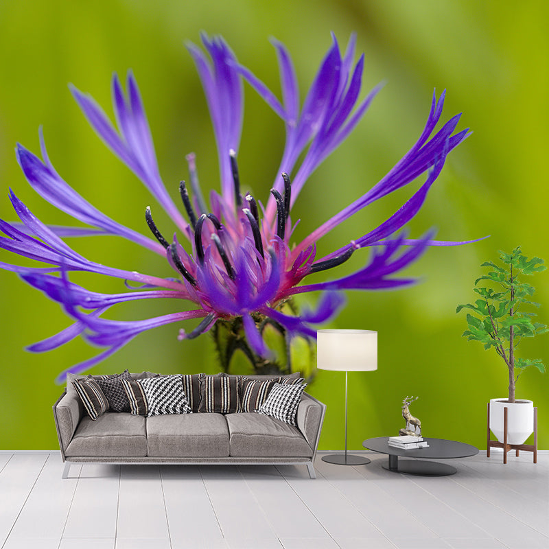 Customized Moisture Resistant Mural Wallpaper Decal Knapweed Wall Decor