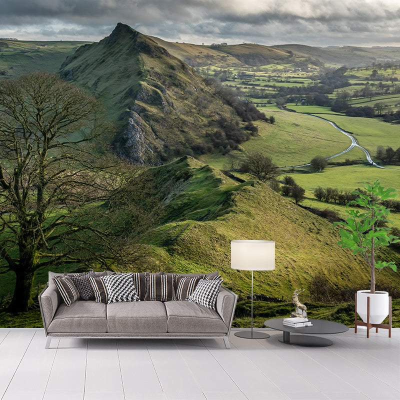 Customized Moisture Resistant Mural Wallpaper Decal Mountain in Soft Color