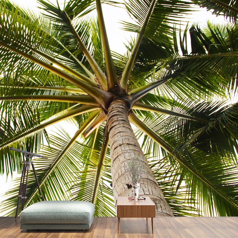 Tropical Palm Tree Mural Wallpaper Water Resistant Wall Decor for Kitchen Dining Room