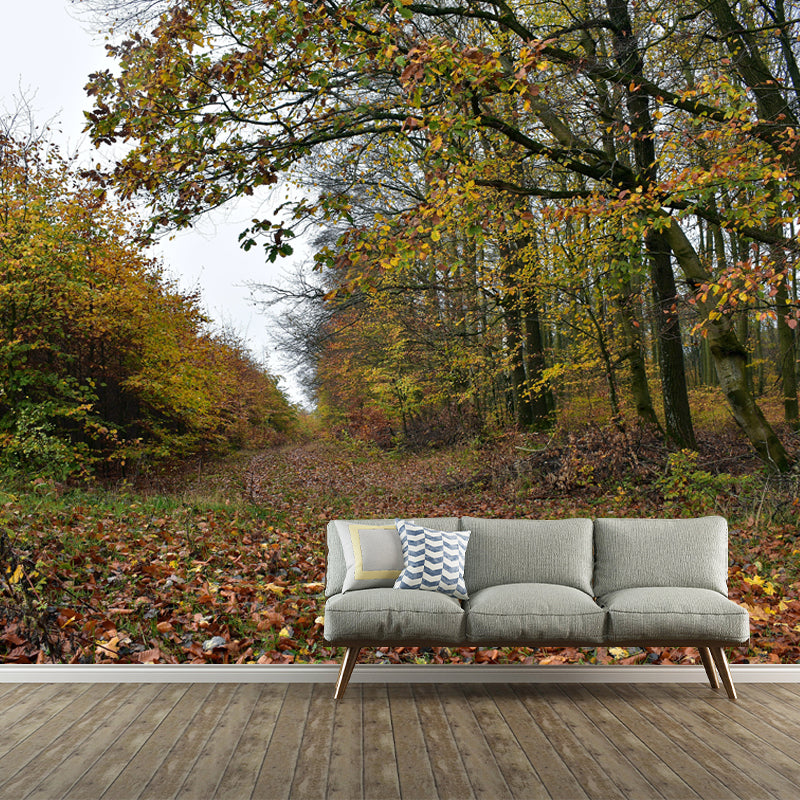 Misty Forest Wall Mural Great Wall Decor for Guest Room, Personalized Size