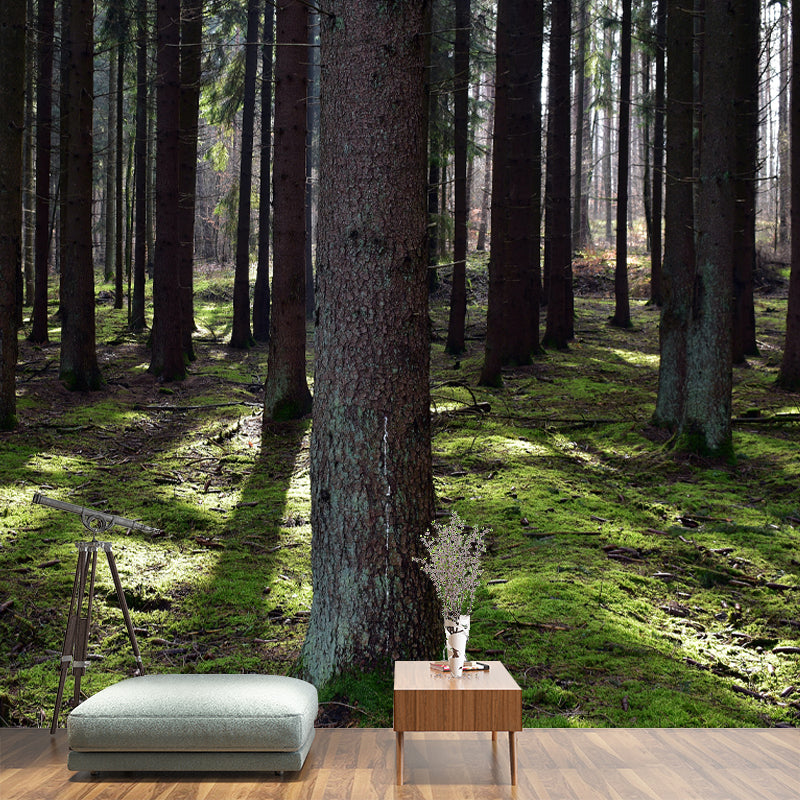 Forest Mural Wallpaper Photo Horizontal Mildew Resistant for Living Room
