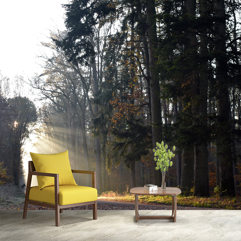 Forest Mural Wallpaper Photo Horizontal Mildew Resistant for Living Room