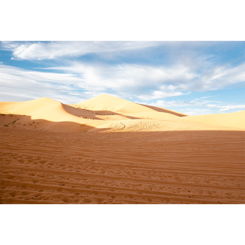 Dry Desert Wall Mural for Living Room Moisture Resistant Home Decor, Customized Size