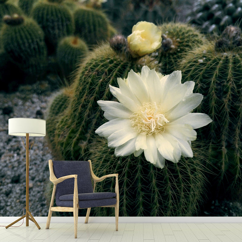 Tropical Cactus Mural Large Size Wall Covering for Home, Made to Measure