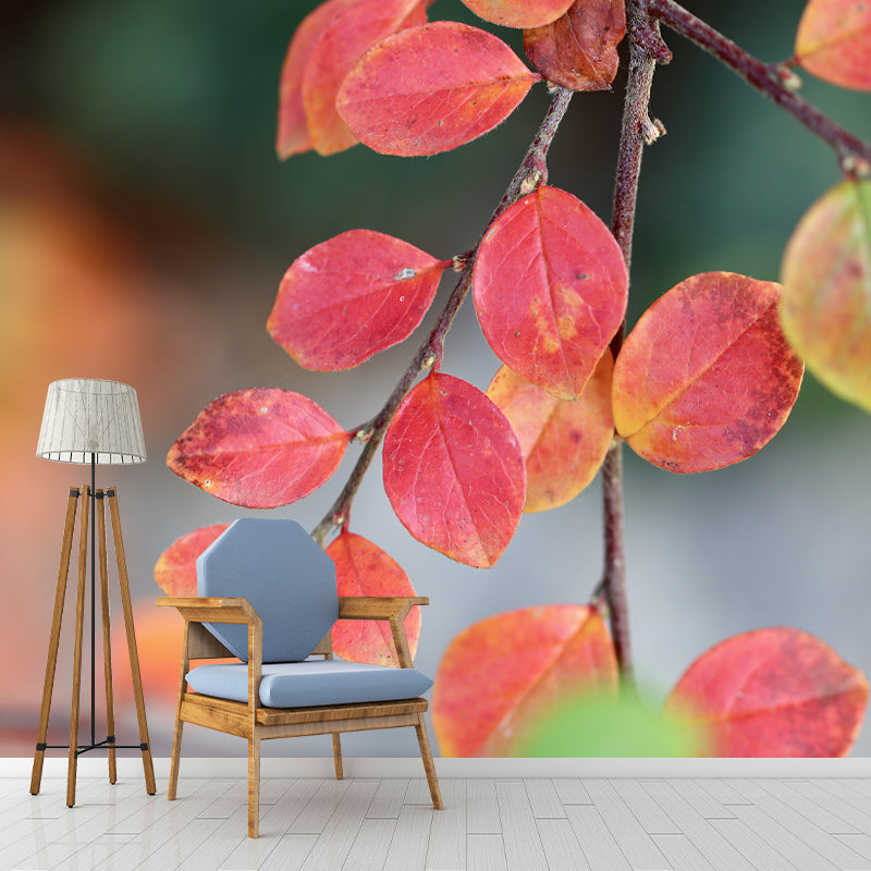 Autumn Leaves Murals Customized Stain Resistant Wall Decoration for Home