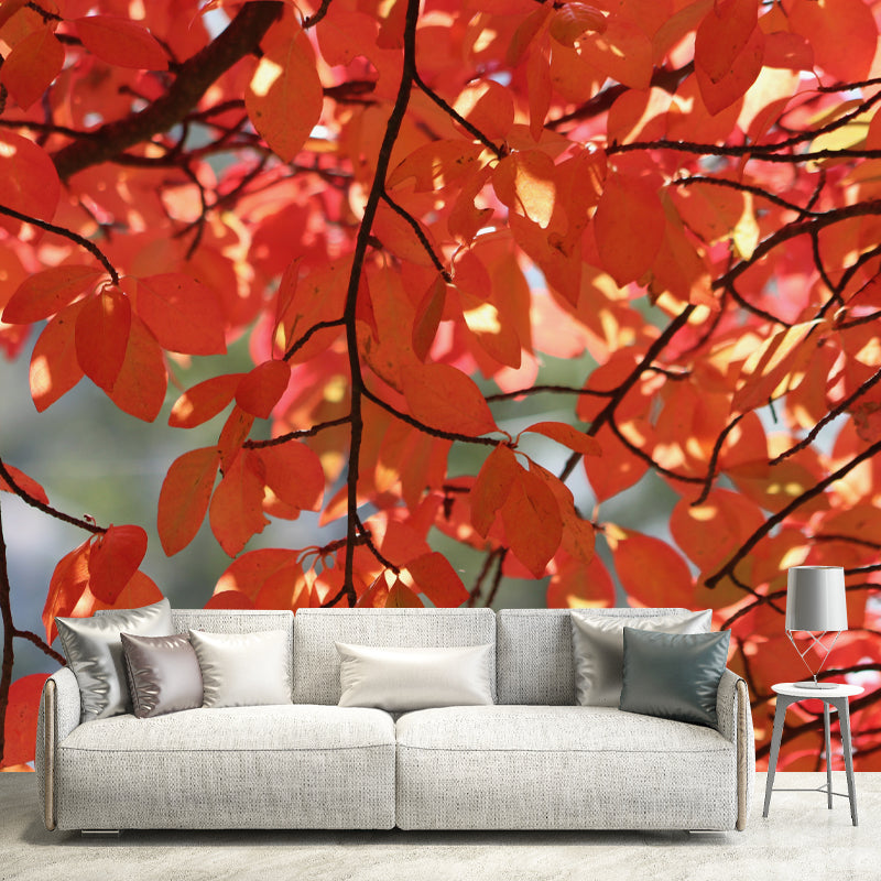 Autumn Leaves Murals Customized Stain Resistant Wall Decoration for Home