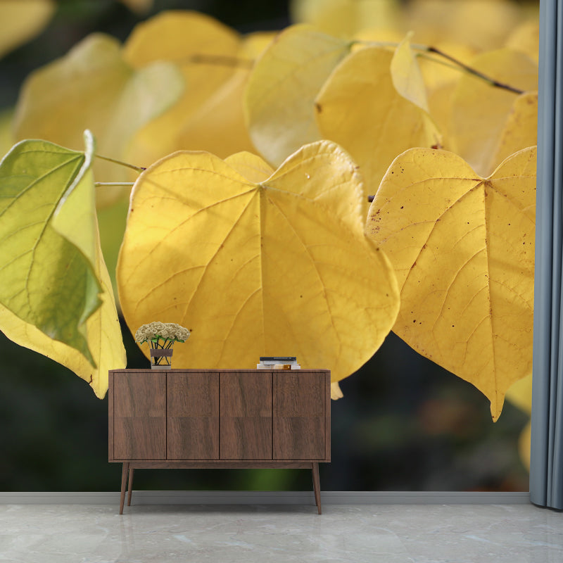 Autumn Leaves Murals Customized Stain Resistant Wall Decoration for Home