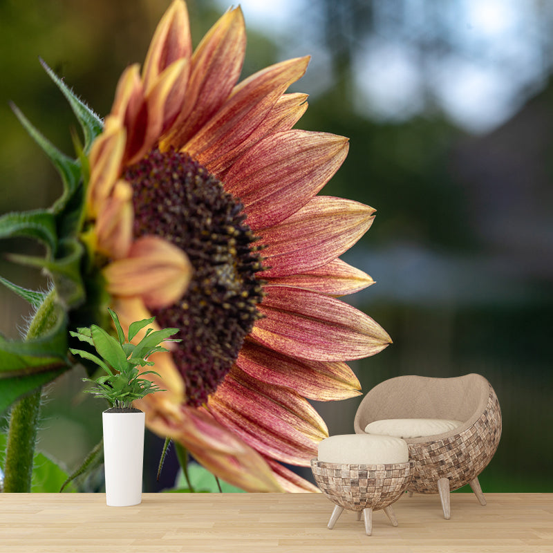 Blooming Sunflower Wall Mural for Living Room Decoration, Made to Measure