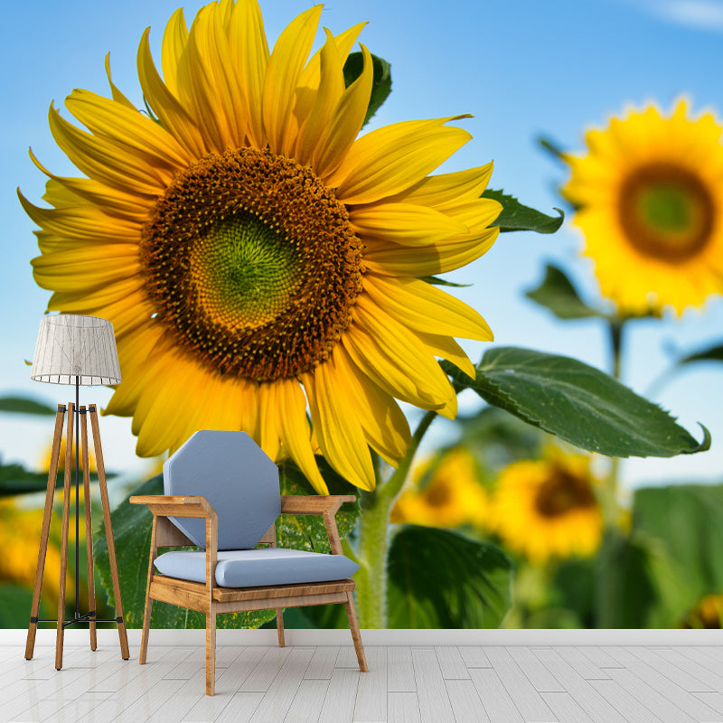 Yellow Sunflower Simple Mural for Bedroom Water Resistant, Made to Measure
