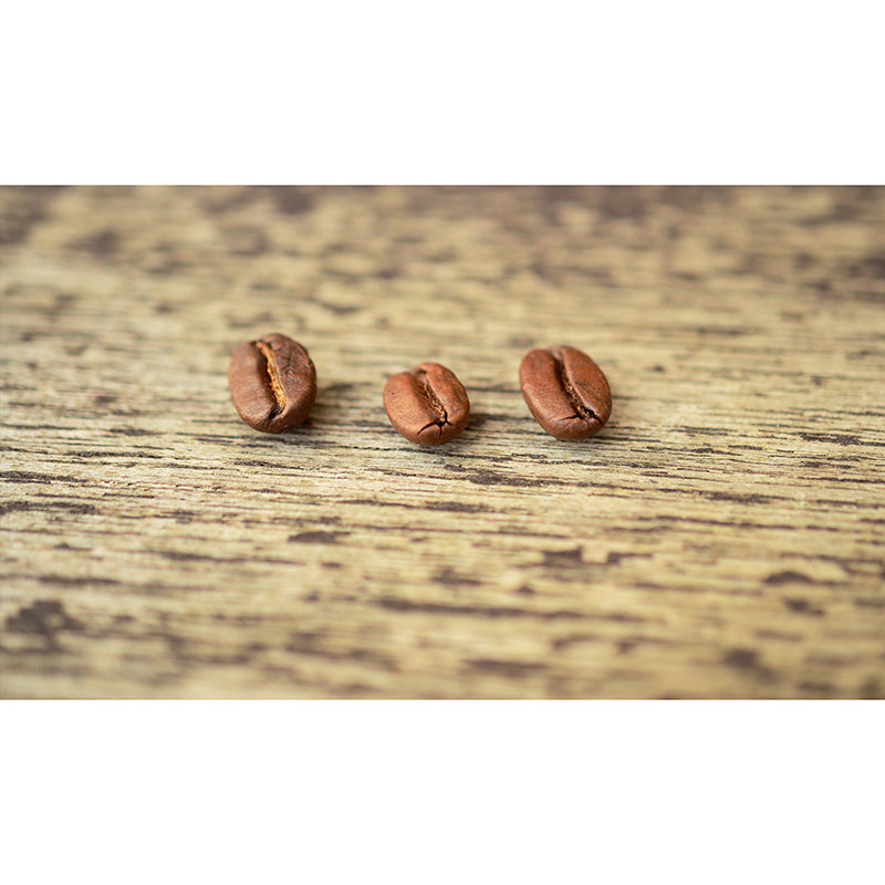 Modern Coffee Beans Mural Photography Horizontal Wall Covering for Coffee Shop