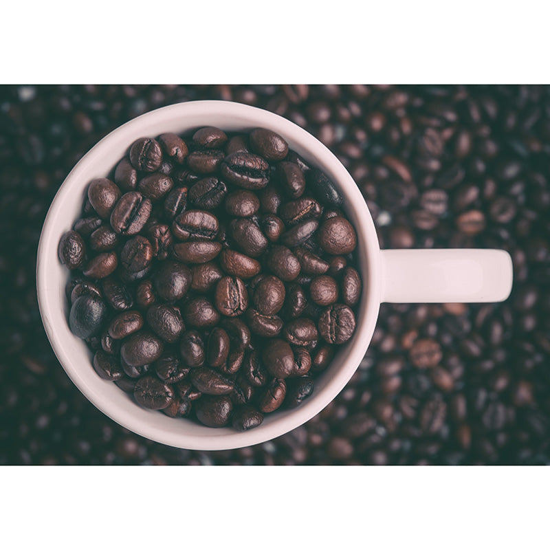 Minimalism Coffee Beans Mural Photography Horizontal Wall Covering for Coffee Shop