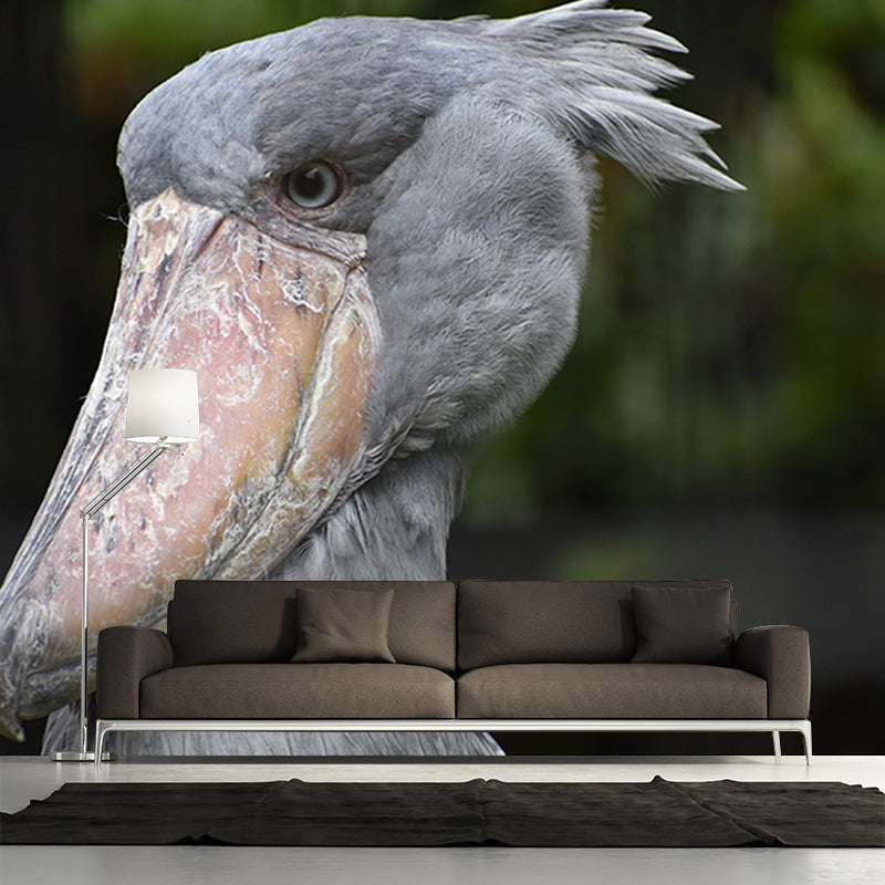 Pelican Animal Mural Wallpaper Contemporary Wall Covering for Sitting Room