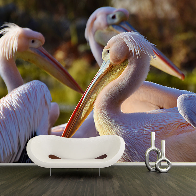 Pelican Animal Mural Wallpaper Contemporary Wall Covering for Sitting Room