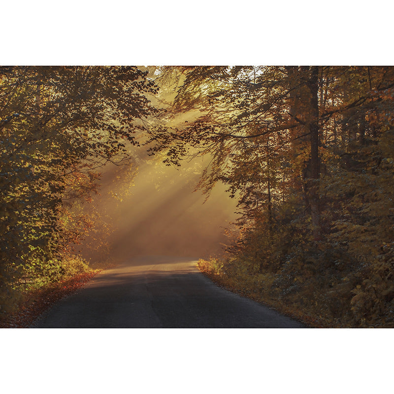 Autumn Forest Mural Wallpaper Washable Wall Decor for Bedroom Living Room