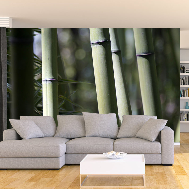Green Bamboo Wall Decor for Bedroom Living Room Waterproofing, Made to Measure