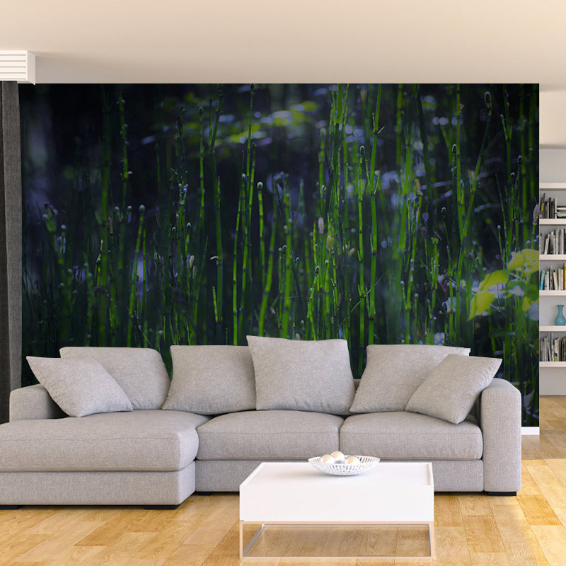 Green Bamboo Wall Decor for Bedroom Living Room Waterproofing, Made to Measure