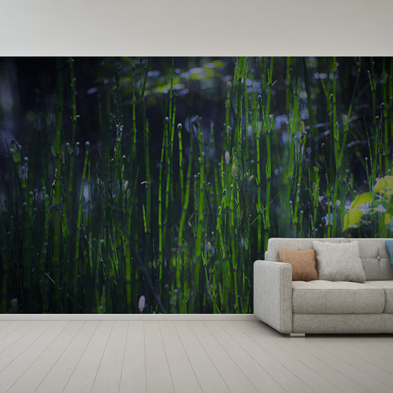 Green Bamboo Wall Decor for Bedroom Living Room Waterproofing, Made to Measure