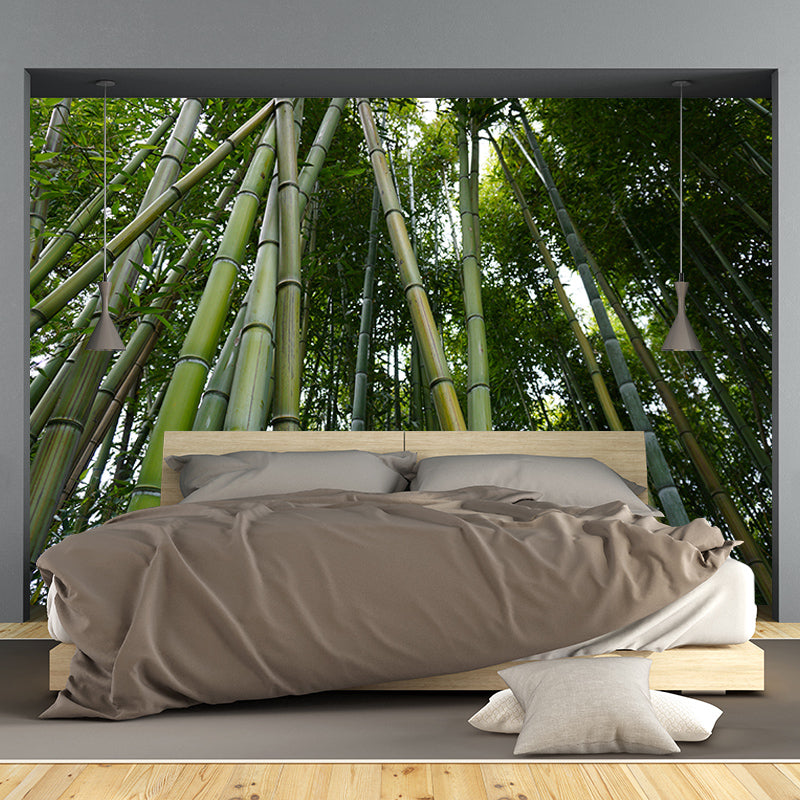 Green Bamboo Wall Decor for Bedroom Living Room Waterproofing, Made to Measure