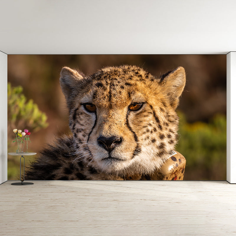 Cheetah Wall Art Decor for Bedroom Living Room Home Decoration, Waterproofing