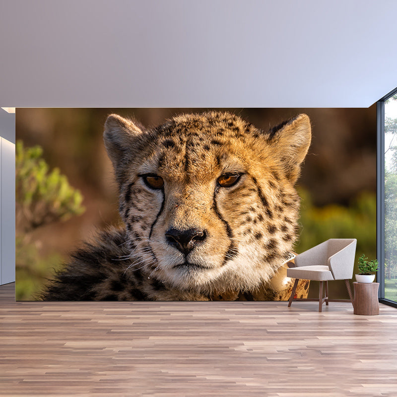 Cheetah Wall Art Decor for Bedroom Living Room Home Decoration, Waterproofing