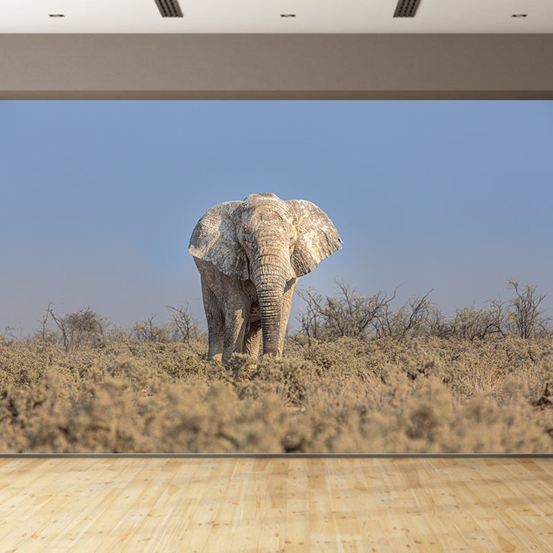 Elephant Animal Wall Covering for Home Decoration Waterproofing, Made to Measure