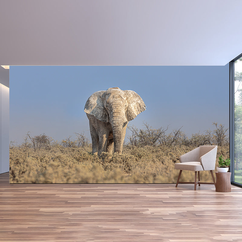 Elephant Animal Wall Covering for Home Decoration Waterproofing, Made to Measure